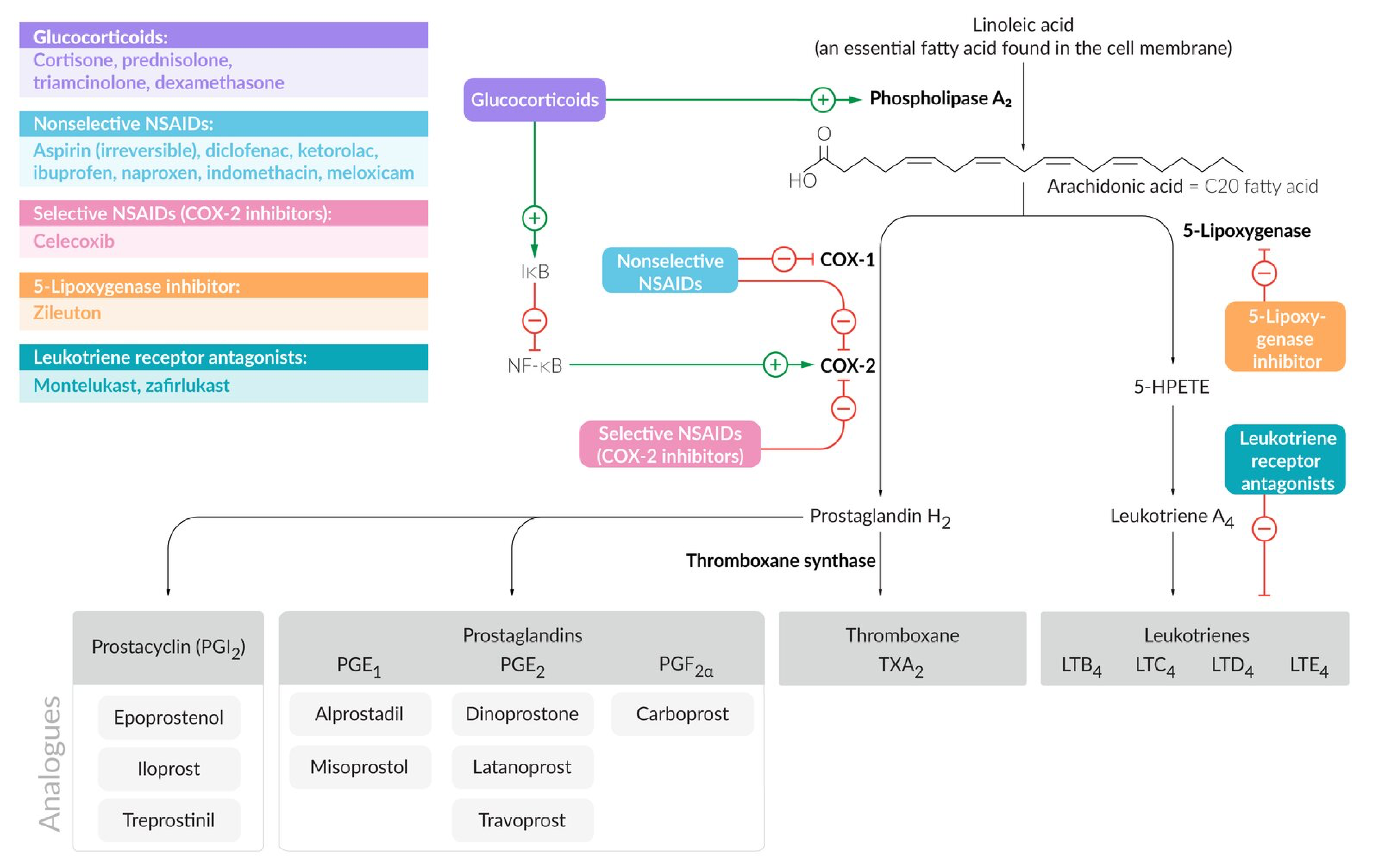 Pathway Diagram