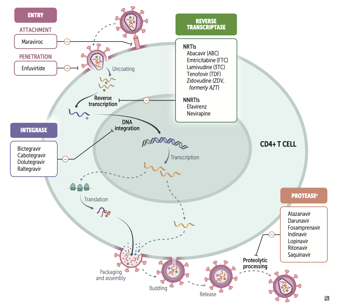 Mechanism of Action Diagram (Ensure hiv_drugs.png is in folder)
